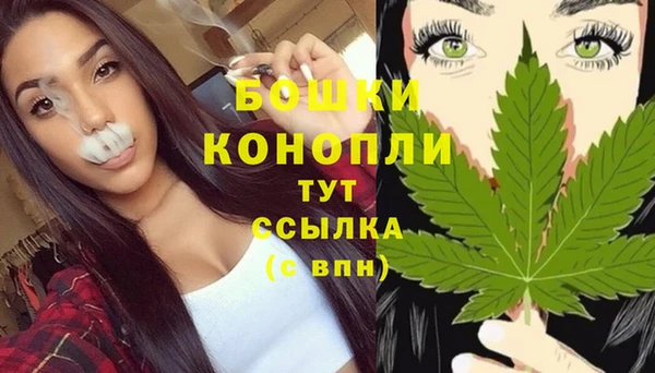 ECSTASY Вязьма