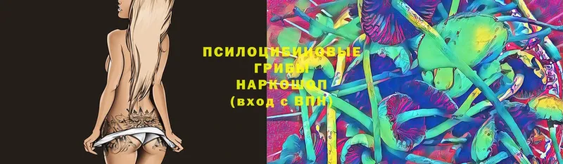 Псилоцибиновые грибы прущие грибы  МЕГА маркетплейс  Барабинск  магазин продажи наркотиков 